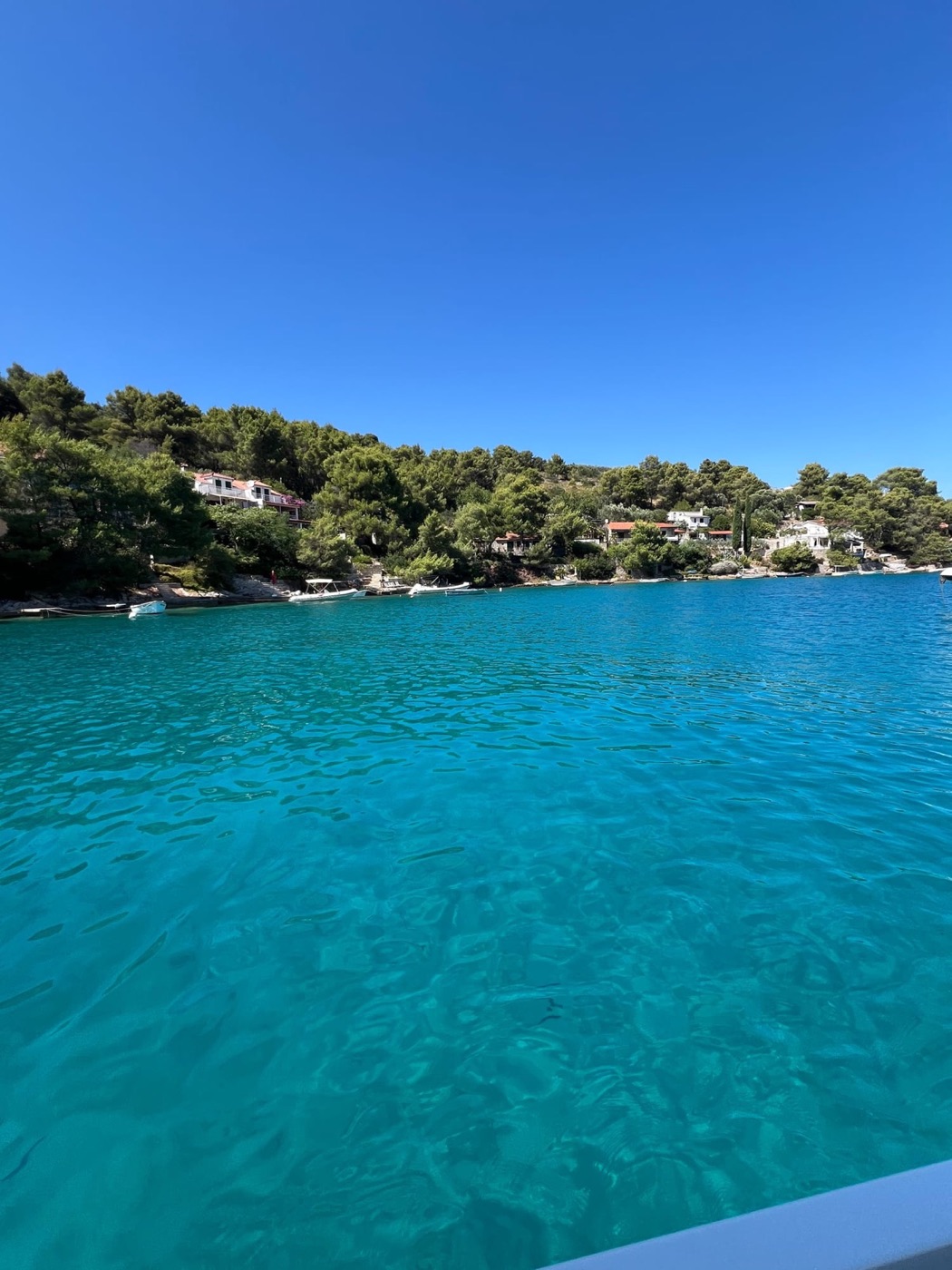Turquoise bay with pine hills and houses on a private island day