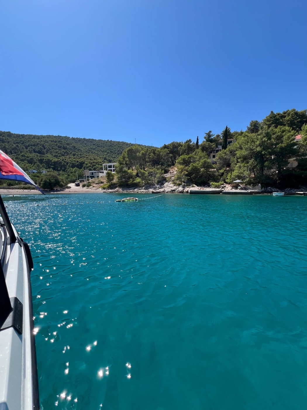 View from a Nini Tours boat toward the Dalmatian pine coastline